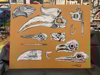 Image 2 of museum drawer