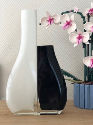 Duo Vases En verre Silea 