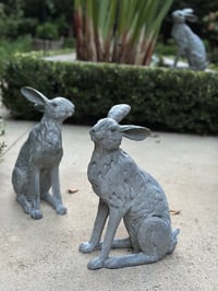 Image 3 of Entrance Garden Hare