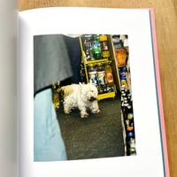 Image 7 of Carmen & Alec Soth - Brighton Picture Hunt (Signed x2)