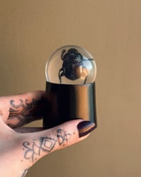 Image 4 of Resin Beetle Stand 2