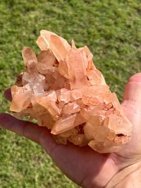 Image 23 of Pink Madagascar Quartz Cluster | Madagascar #3019
