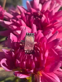 Image 1 of The Mesa Bloom