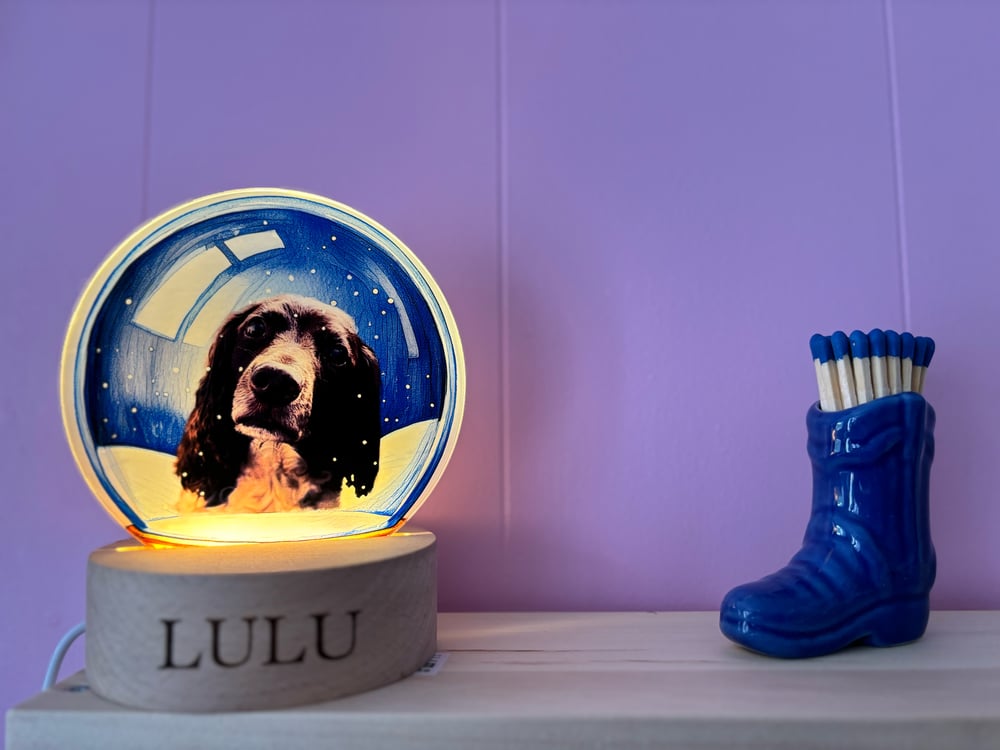 Image of Personalised Pet/loved ones snow globe