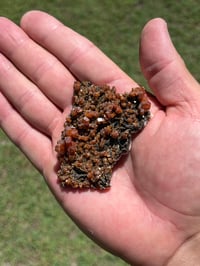 Image 12 of Vanadinite On Black Barite Specimen #2548
