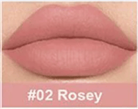 Lip Matte Gloss - 02