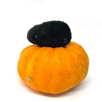 Image 2 of Emotional Support Bug: Black