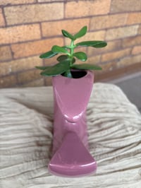 Image 5 of Jade Plant in Purple Geometric Pot