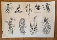 Image 1 of Paul Rogers GUIDELINE N1