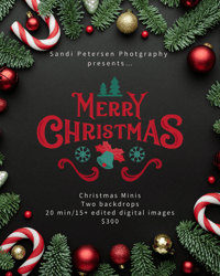 Image 1 of 11/9 - 10:00 PM Christmas minis - Christmas Dazzle and bed 