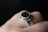 Image 6 of Dead Good harlequin ladybird ring