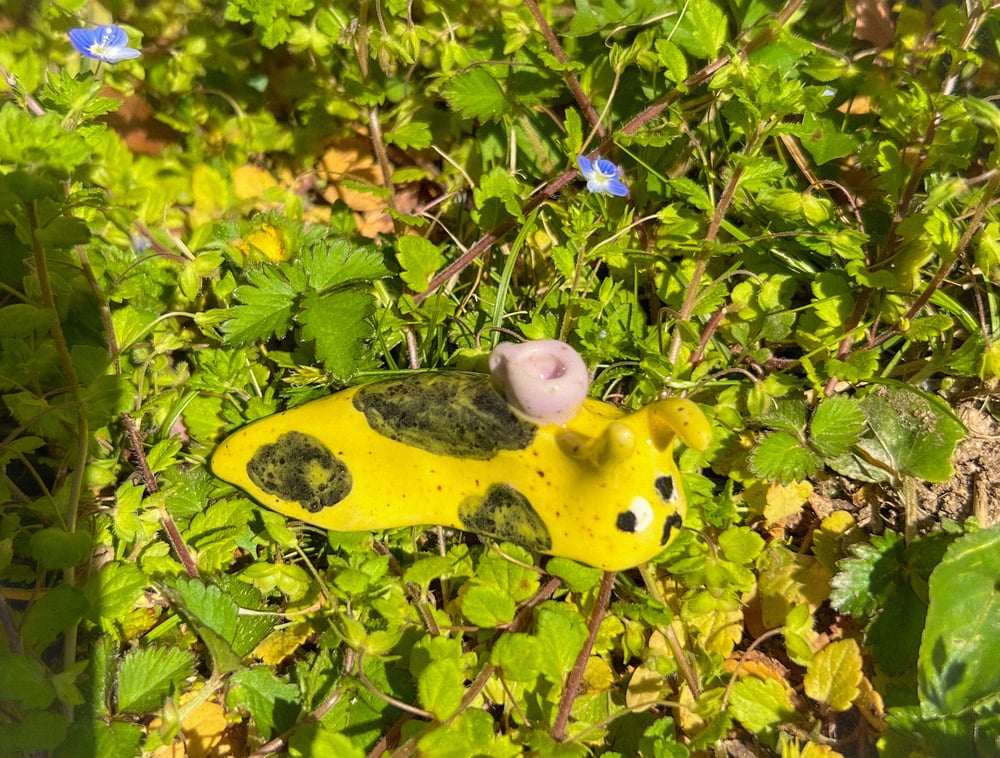 Image of slug tea party fwend