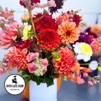 Image 4 of Dahlia Tubers