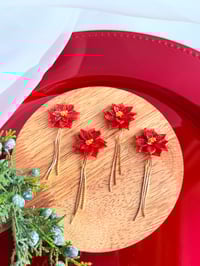 Image 3 of Poinsettias