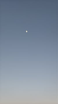 Image 5 of Therapeutic Vinyasa — One Place left OPEN for this Week 