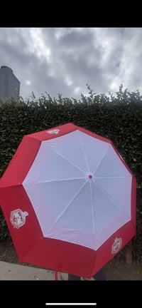 Image 1 of Hurricane Umbrella
