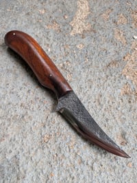 Image 1 of IRONWOOD PERSIAN