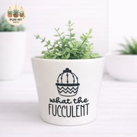 What The Fucculent Pot - White 14cm