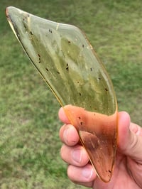Image 24 of Copal Amber With Preserved Insects #2357