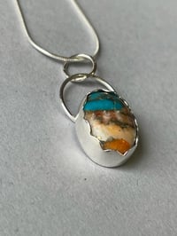 Image 9 of Oyster Turquoise 