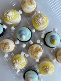 Spring Cupcakes