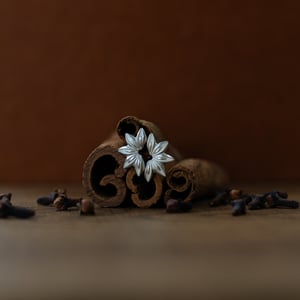Image of Star Anise Earrings