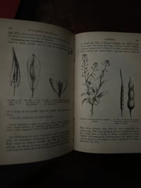 Image 11 of Cours élémentaire de Botanique, A.Mangin,1886