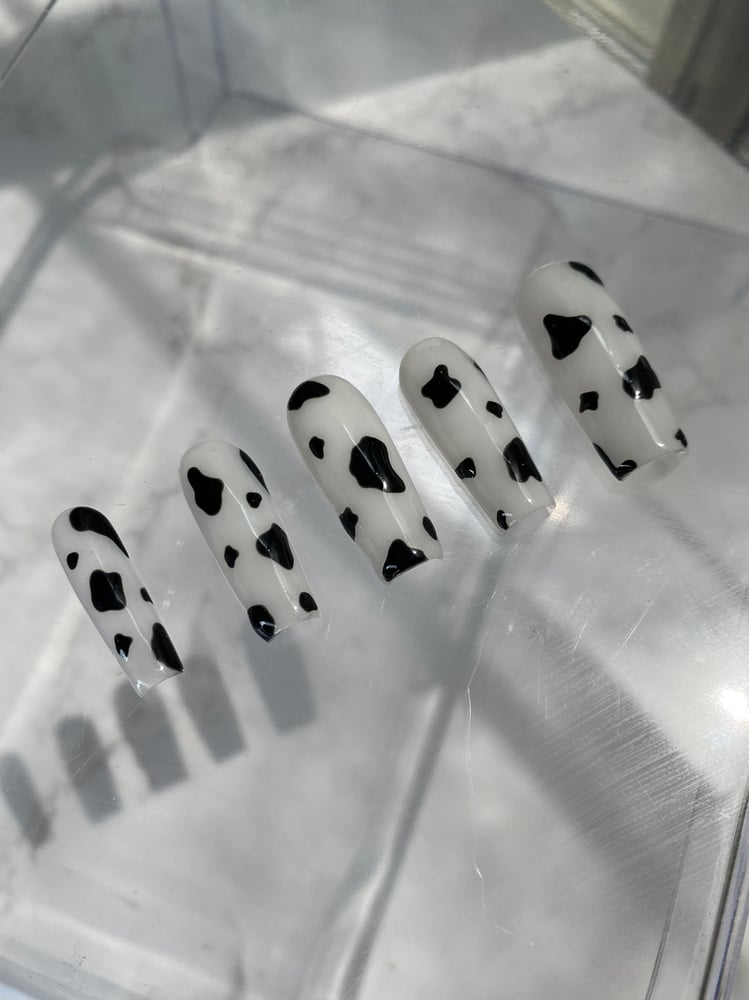 Image of Cow Milk