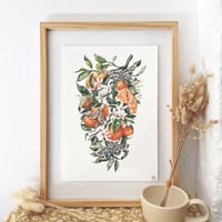Image 1 of clementines & tiger moths