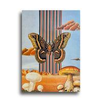 Image 4 of Mothra 