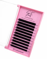 Fab Lash Trays 