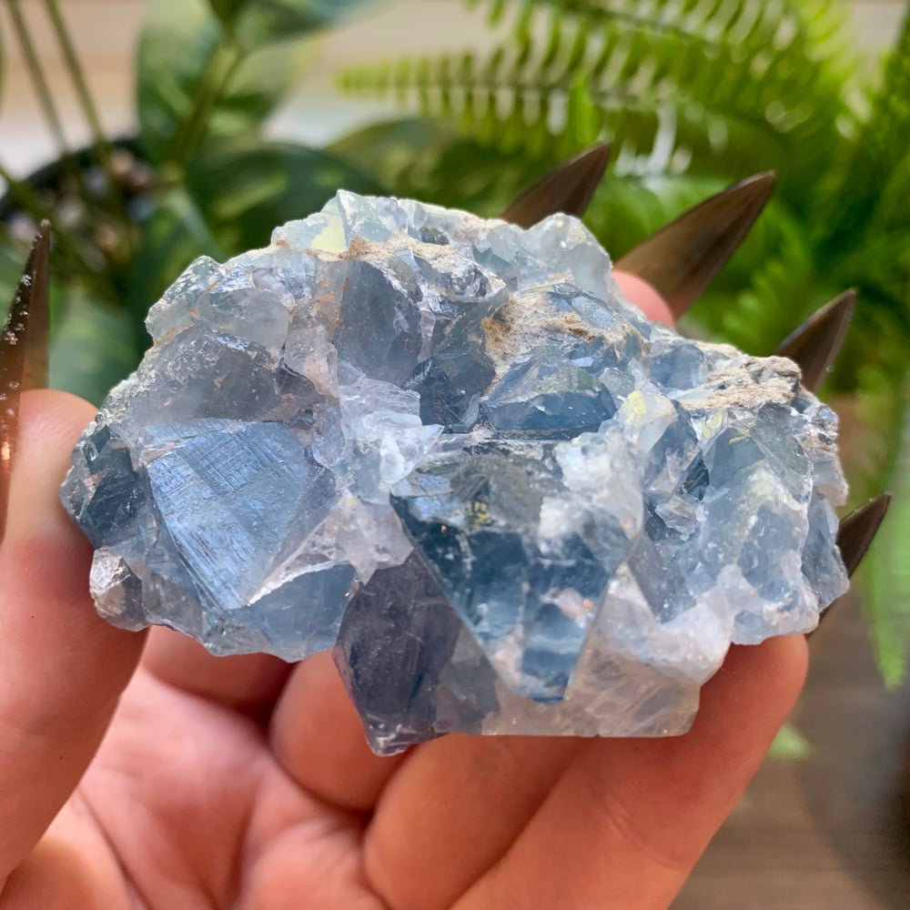 Celestite Clusters