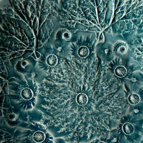 Image of Rockpool plates D