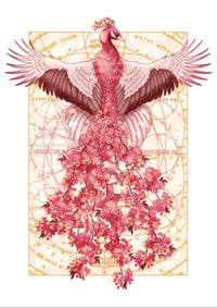 Print - Sakura peacock