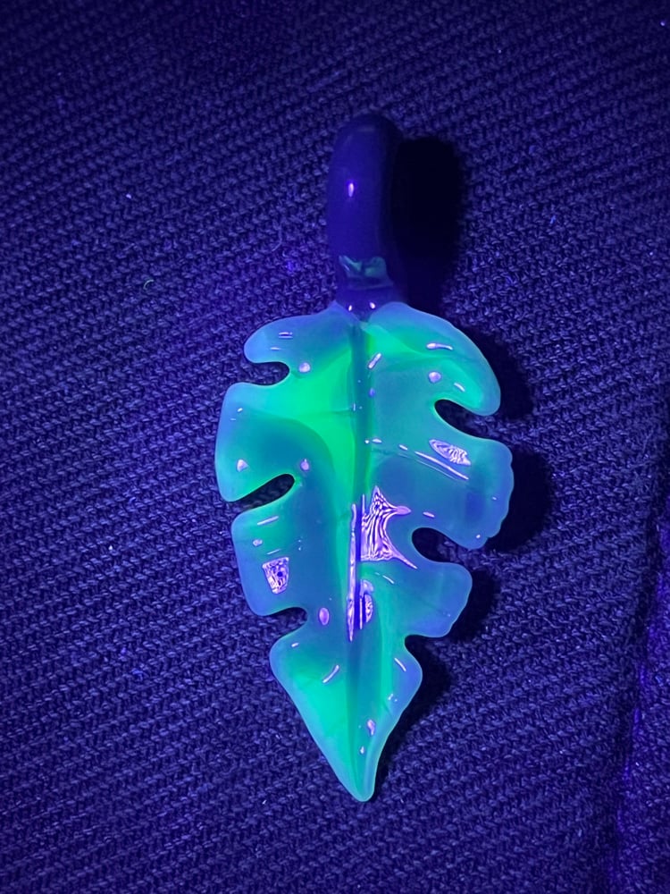 Image of Small Varigated Monstera Leaf Pendant1