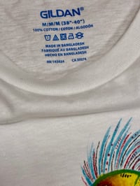 Image 5 of Roadrunner Cacti - Medium