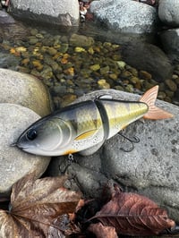 Image 1 of Nimbus 7.5