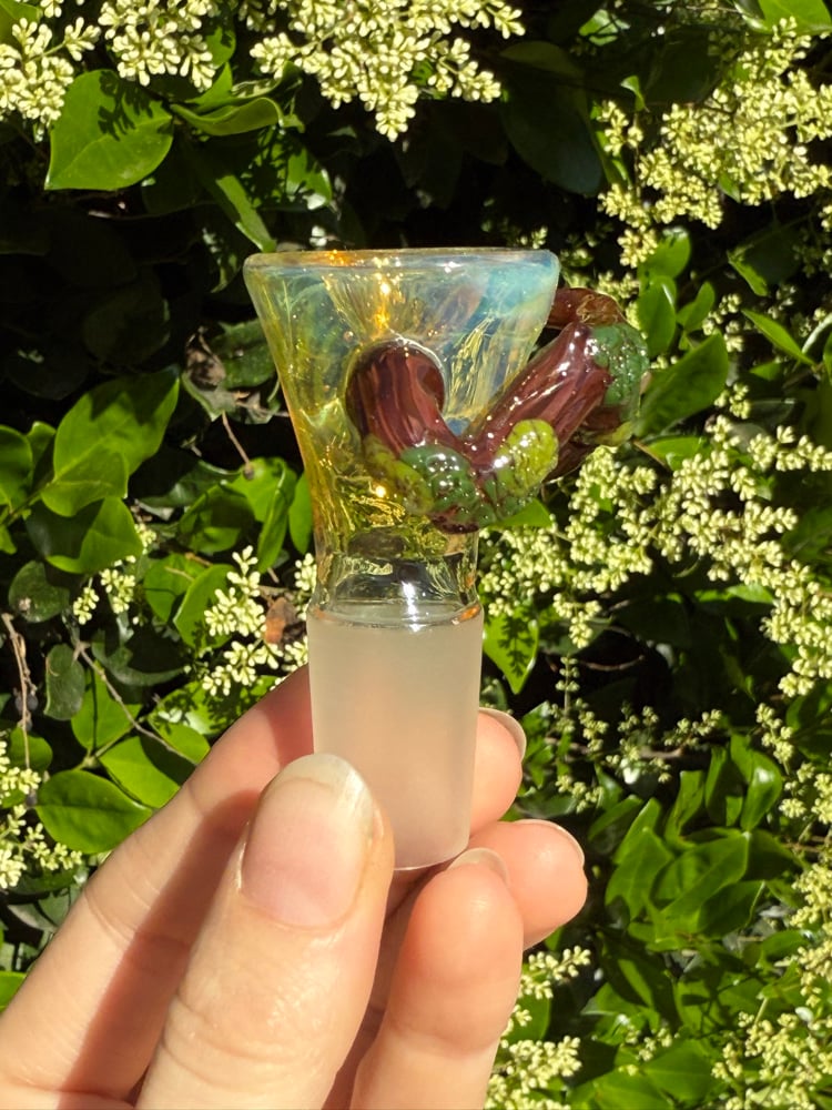 Image of Fantasy Forest 18 mm Slide  #1
