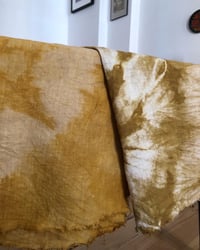Image 3 of Introduction to Natural Dye Workshop
