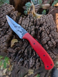 Image 2 of COMPANION #2