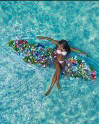 Looksbyleeia tour guide 