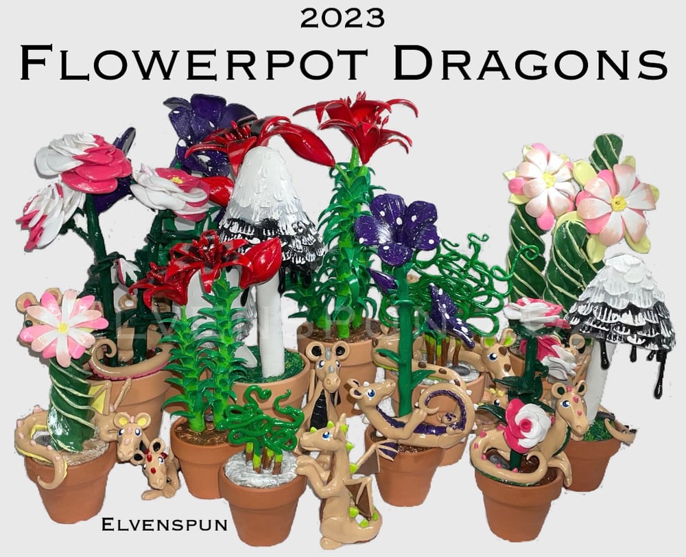 Image of 2023 Flowerpot Dragons