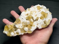 Image 7 of Barite & Yellow Cubic Fluorite Crystal Specimen #2417