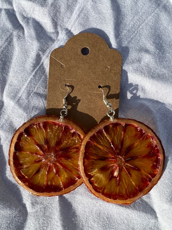 Image of Dried Blood Orange Earrings