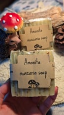 Image 2 of Amanita muscaria soap