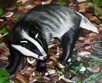 Badger