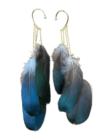 Image 1 of Medicine Wing Ear Cuff Earrings 