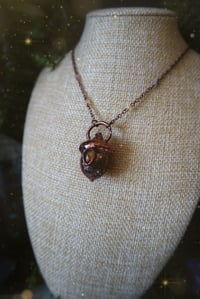 Image 5 of Harvest Moon Acorn 