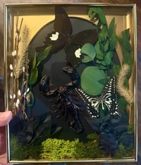 Image 1 of Black Scorpion Frame 