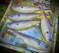 Image 1 of 5" G5 Hand Poured Swimbaits - "BLUEBACKS”
